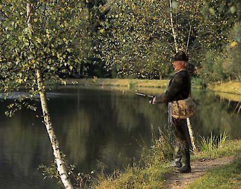 Wellnessurlaub in der Natur immer beliebter